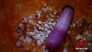 HALLOWEEN WEEK - Sam Bridle Pumpkin Fucking