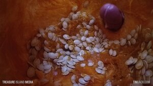 Sam Bridle Pumpkin Fucking